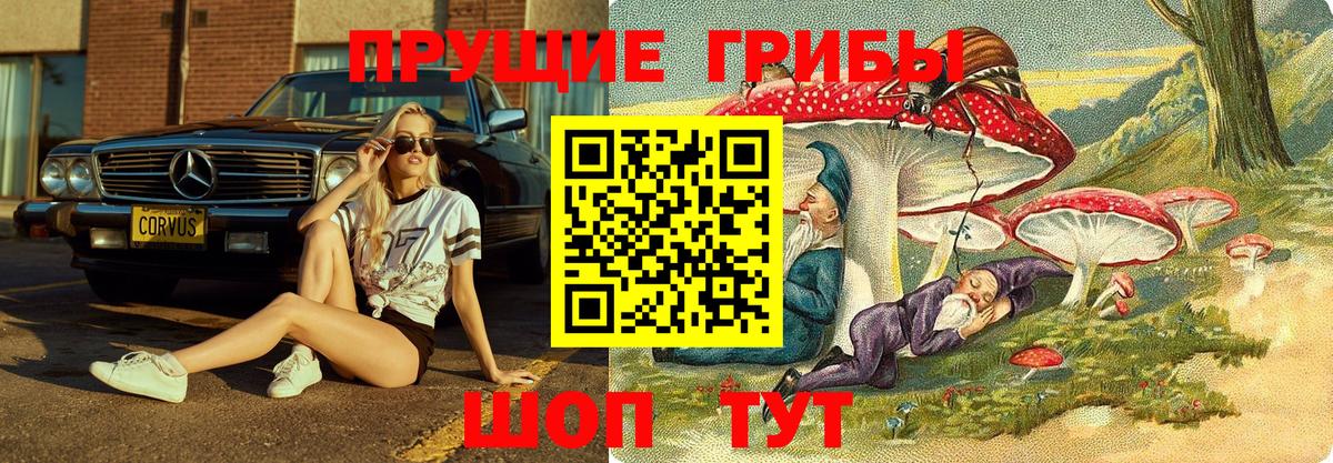 Аксай  Галлюциногенные грибы GOLDEN TEACHER  Вход с VPN 